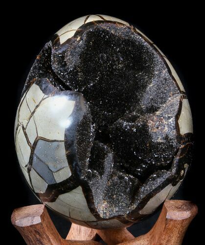 Septarian Geode - Shiny Black Crystals #34719